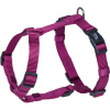 Nobby CLASSIC postroj nylon