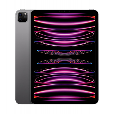 Apple iPad Pro 11 (2022) 1TB Wi-Fi Space Gray MNXK3FD/A