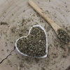 Divozel velkokvetý, Divozel sápovitý - list narezaný - Verbascum phlomoides 250 g
