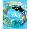 Koloběh vody