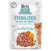Pharmacopola Brit Care cat Kapsička Sterilized Fillets in Gravy with Healthy Rabbit 24 x 85 g