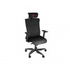 Genesis ergonomické herné kreslo ASTAT 700 čierne NFG-1945