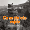 Co se do vás vejde - Kamil Pešťák (mp3 audiokniha)