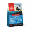 Orijen Dog Original 2 kg
