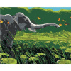 Zuty – Maľovanie Podľa Čísel – Slon A Motýle, 80 × 100 cm, Plátno + Rám 8596530097433