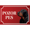 Gordonský seter - Kovová tabuľka POZOR PES
