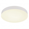 Globo 12384-24W