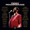Pendergrass Teddy - Best Of Teddy Pendergrass / Vinyl / 2LP [2 LP]