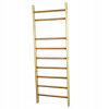 Master Training Ladder 240 cm x 70 cm (Gymnastický rebrík pre hlavnú stenu 70 x 240 cm)