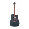 APC WG100 BK CW elektroakustická gitara