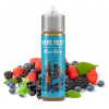 Vape Fest - Blues Berry (Borůvka a černý rybíz) 10ml