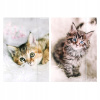Školská aktovka A4 s gumičkou Starpak Cuties MAČKY 1 kus