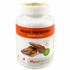 MycoMedica Reishi triterpen 90 kapsúl