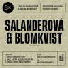 3x Salanderová & Blomkvist #2 - David Lagercrantz (mp3 audiokniha)