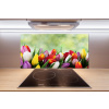 Panel do kuchyne Farebné tulipány 100x50 cm