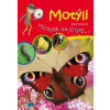 Motýli