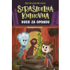 Strašidelná knihovna Duch za oponou - Dori Butlerová Hillestad