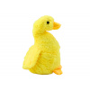 LEAN Toys Plyšová hus maskot, žltá objímacia kačica 40 cm