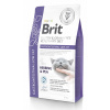 BRIT Veterinary Diets Cat na poruchy tráviaceho systému 5 kg