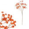 Autronic Gypsophila - umelá vetva, oranžové kvety UKX3003 OR
