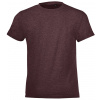SOĽS Regent Fit Kids Detské tričko SL01183 Heather oxblood 12A