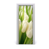 Fototapeta samolepiace biele tulipány 75x205