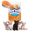 CLUB 4 PAWS Premium vlhké krmivo pre mačiatka s lososom v omáčke 80 g