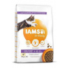 Iams Cat Kitten Chicken 10kg
