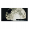 Foto -camera akryl 140x70 Night Moon Palma Krajina (Foto -camera akryl 140x70 Night Moon Palma Krajina)