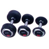 SPARTAN SPORT Činka Studio Profi De Luxe 25 kg