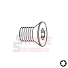 Skrutka TSPTI - M4x4,5x8 D5,6 IGM