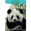 Victoria Blakemore - Pandas