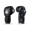 Boxerské rukavice DBX BUSHIDO B-ProFight