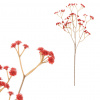 Autronic Gypsophila - umelá vetva, červené kvety UKX3003 RED