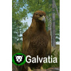Galvatia (PC)