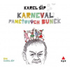Karneval paměťových buněk (audiokniha) - Karel Šíp