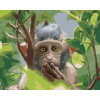 ZUTY Maľovanie podľa čísel OPICA V PRÍRODNOM LESE Rámovanie vypnuté plátno na rám Rozmer 80x100 cm