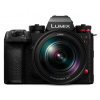 Panasonic LUMIX DC-S1M2 + S 24-105mm F4 MACRO O.I.S.