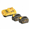DeWALT DCB118T2