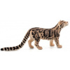 Animal Planet Leopard číhajúci