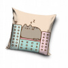 Carbotex Pelech mačičky Pusheen 40 x 40 cm