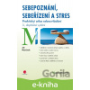 E-kniha Sebepoznání, sebeřízení a stres - Jiří Plamínek