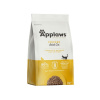 Applaws Adult Cat kura 2 kg