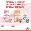 ROY Royal Canin FHN Kitten Instinctive in sauce - vlhké krmivo pre mačiatka - 12x85g
