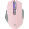 White Shark Gareth Pink GM-5009