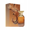 Afnan Delicious Bouquet, parfumovaná voda, 80 ml