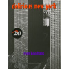 Delirious New York