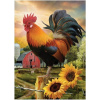 NORIMPEX Diamantové malování Kohout na farmě 40x30cm