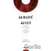 24 bajtů x 42 let - Dorotea Vejmelková