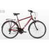 bicykel Dema Arosa 1 M
